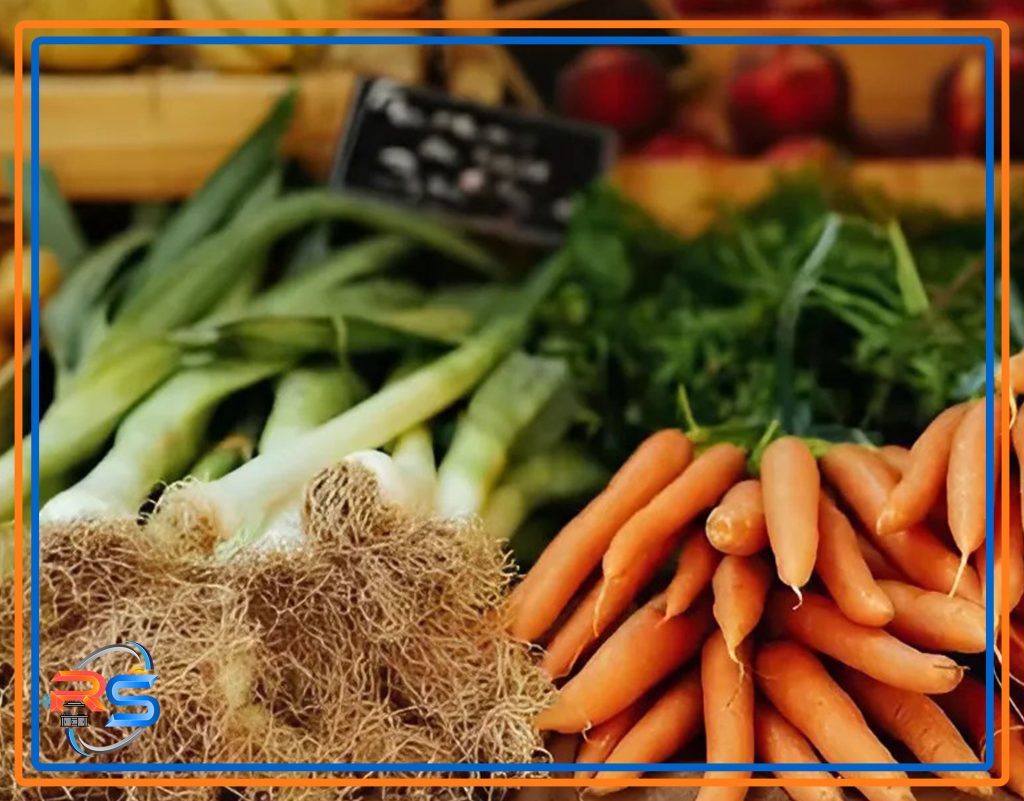 راه اندازی اشپزخانه صنعتی با بودجه محدود