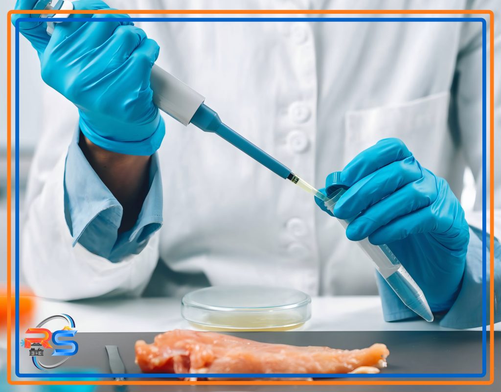 بررسی بهداشت آشپزخانه صنعتی